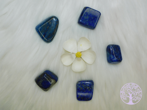 Lapislazuli Gerollte